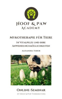 Zeige Details für Online-Seminar "Mykotherapie für Tiere" Bild von Online-Seminar "Mykotherapie für Tiere"