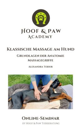 Zeige Details für Online-Seminar "Hundemassage" Bild von Online-Seminar "Hundemassage"