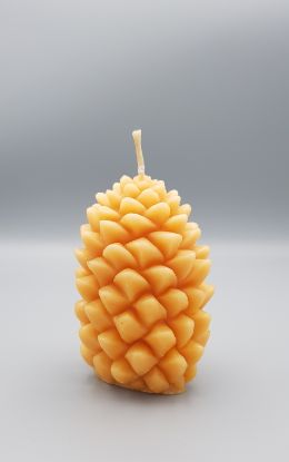 Zeige Details für Zapfen aus Bienenwachs 266g Bild von Zapfen aus Bienenwachs 266g