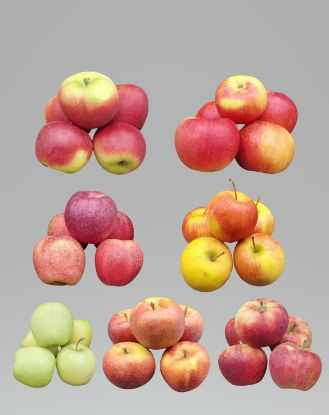 Bild von Äpfel Variation 5kg 