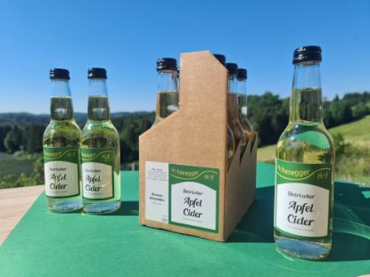 Show details for Apfel Cider (0,33l) Picture of Apfel Cider (0,33l)