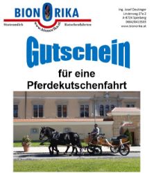 Picture of Kutschenfahrt Murtal - Gutschein