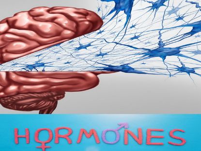 Hormone Hormone
