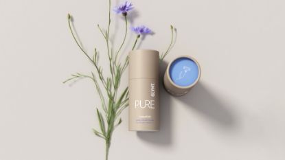 Zeige Details für Pure Shampoo Bild von Pure Shampoo