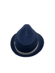 Bild von  Kinder Papierhut - Blau mit weißem Band 