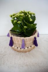 Picture of Blumenkorb aus Peddigrohr - ENE24