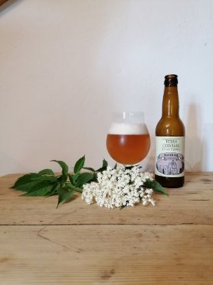 Show details for Bio Bier - KORNBERG 0,33l Picture of Bio Bier - KORNBERG 0,33l