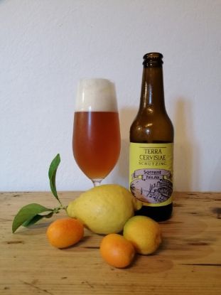 Show details for Bio Bier - SORRENT 0,33l Picture of Bio Bier - SORRENT 0,33l