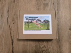 Bild von T-Rex 3D-Puzzle